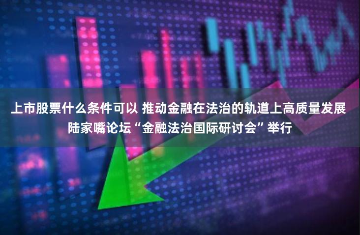 上市股票什么条件可以 推动金融在法治的轨道上高质量发展 陆家嘴论坛“金融法治国际研讨会”举行