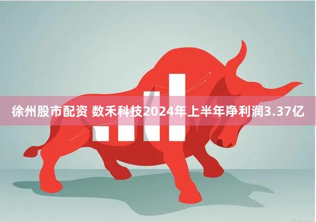 徐州股市配资 数禾科技2024年上半年净利润3.37亿